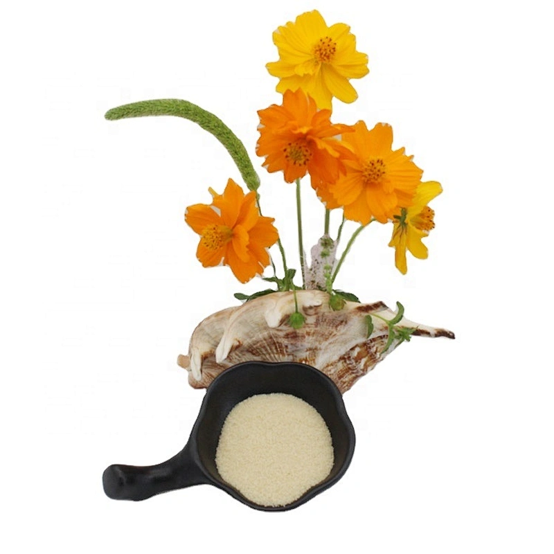 Wholesale Edible Food Grade Bovine Gelatin Powder Gelatin Price for Soft Candy
