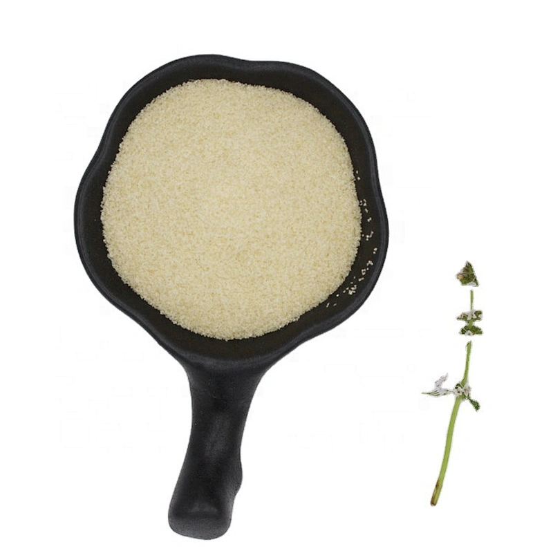 High Purity Food Additive animal origin Gelatin